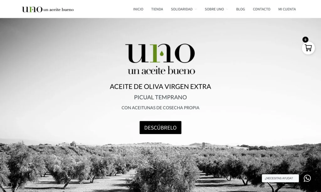 Creación de página web con tienda online para UNO Aove