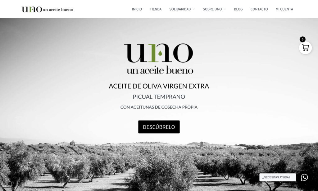 Creación de página web con tienda online para UNO Aove