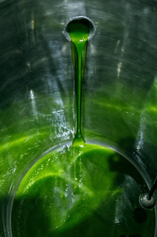 Creación de página web con tienda online para UNO Aove