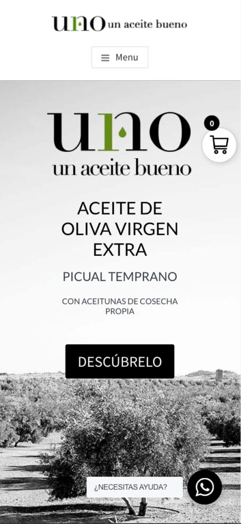 Diseño web de tienda Online y web corporativa responsiva