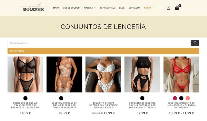 Diseño de tienda online dropshipping de lencería y fotografia boudoir.
