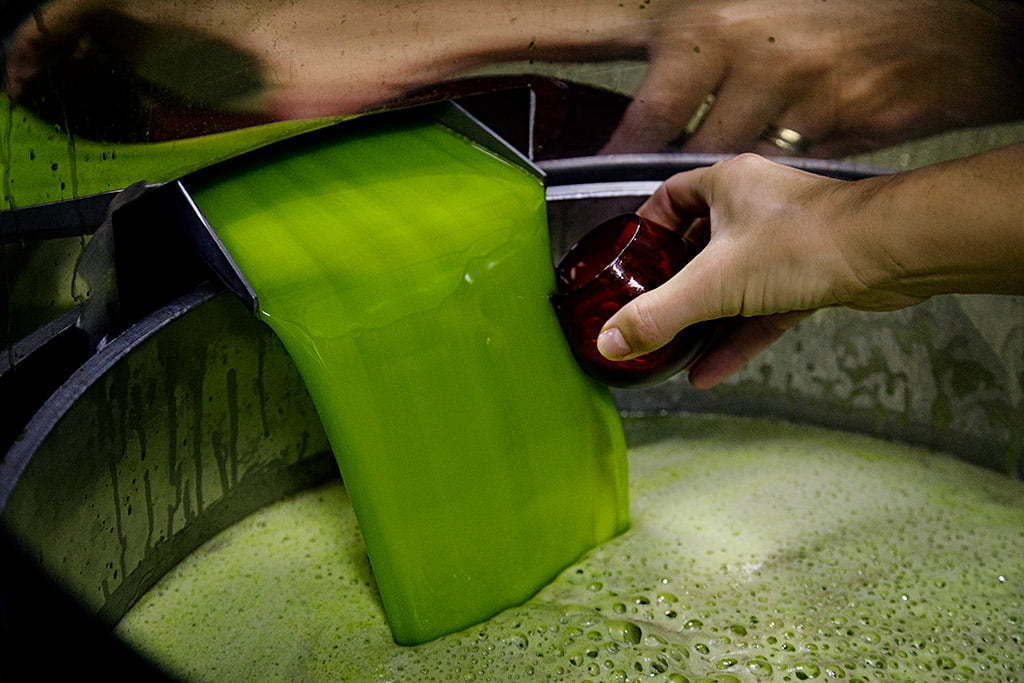 Fotografía corporativa para marca de aceite de oliva virgen extra en la elaboración del aove